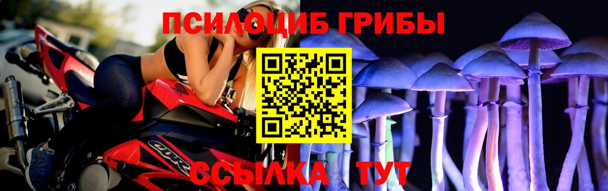 где можно купить   Галлюциногенные грибы Magic Shrooms  Галлюциногенные грибы Psilocybine cubensis  Вход с VPN  Сухой Лог 